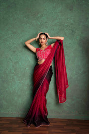 Luxe Red Saree with Artistic Embroidery