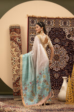 Handloom Silk Chiku Skyblue Saree sedoracouture