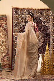 Chiku Crystal Silk Saree with Maroon Blouse